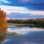 Workshop de fotografie în Delta Dunării